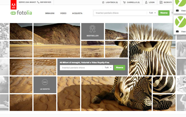 fotolia1