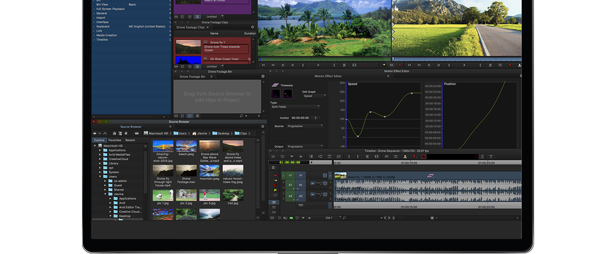 Muovere i primi passi con Avid