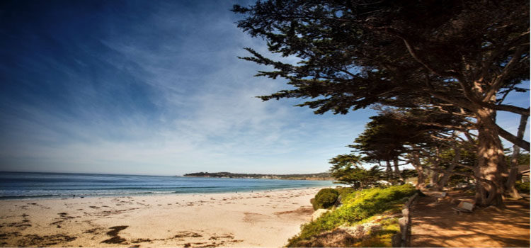 La città di Carmel-by-the-Sea seleziona Matrox Monarch HDX per le riunioni del consiglio comunale